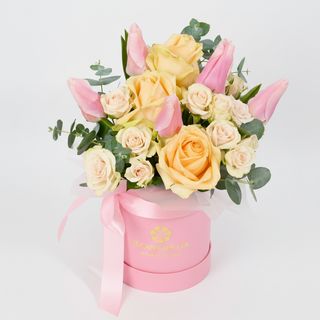 Композиція"Початок"