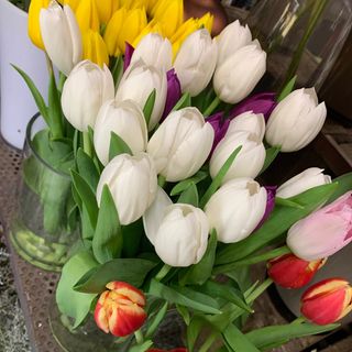 Tulipani misti bouquet 