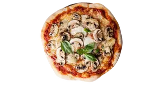 Porcini