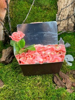 Pétales de Roses Roses