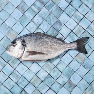 Orata Liguria pulito e squamato