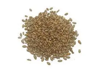 Trigo En Grano Ecológico (250 Gr Aprox)