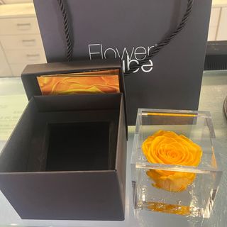 Rosa preservada 8x8 con olor en caja  color AMARILLO