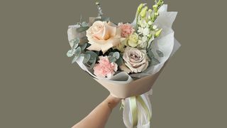 Blush Harmony
