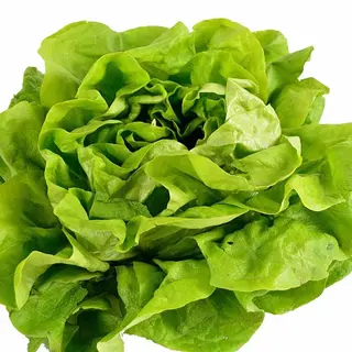 insalata mista 