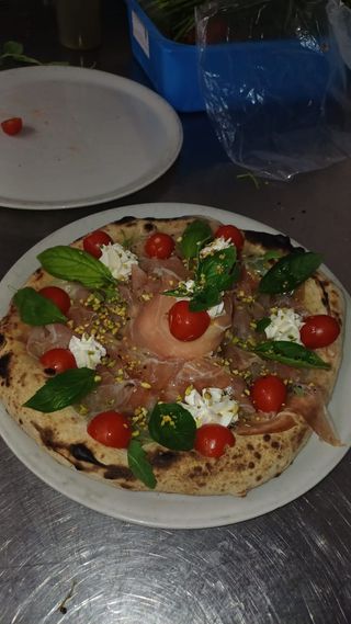 Terrasini