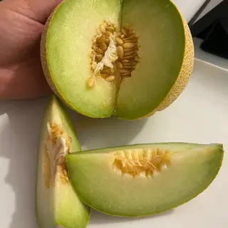 Melon BIO