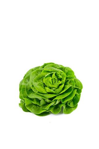 Lechuga Trocadero 1 Kg.