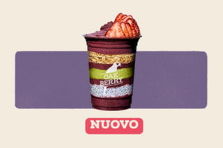 PISTACHIO (Works 500ml)