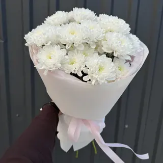 Моно букет з білих хризантем сорту Altay - 5 хризантем