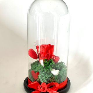 Inimi si trandafir criogenat