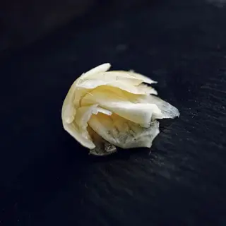 Gengibre 