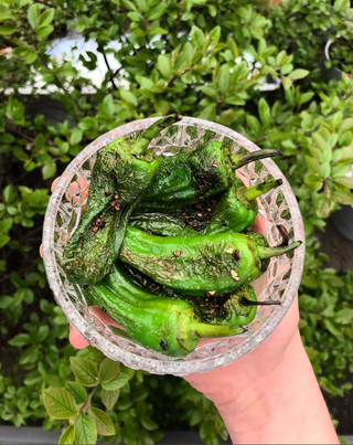 Marynowane Jalapenos