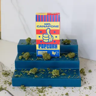 Mr. Canapone Popcorn - Trim & Mini Buds 10g