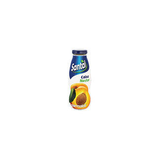 Santal Nectar Caise 0.2l X 6