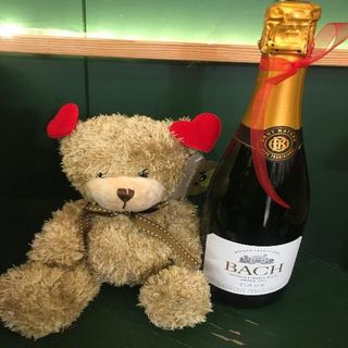 Botella De Cava Y Peluche Romántico