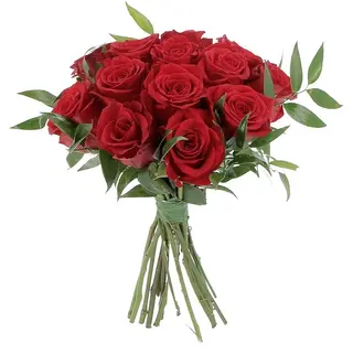 12 rose rosse