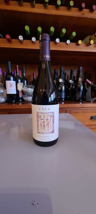 Vino Care Tinto Roble Sobre Lias D.O Cariñena (75 Cl.)