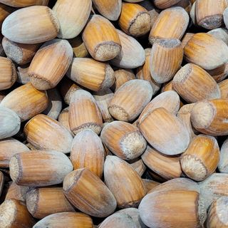 Orzech Laskowy - Pl - 100g