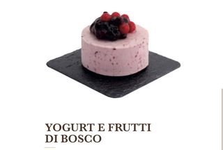SEMIFREDDO YOGURT E FRUTTI DI BOSCO 
