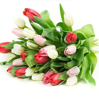Bukiet z 15 kolorowych tulipanów