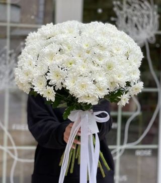 15 белых хризантем