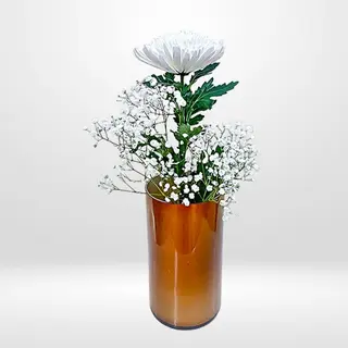 1 Anastasia con Paniculata