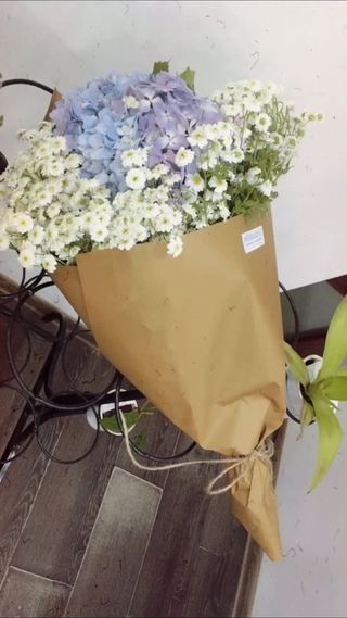 გვირილა ჰორტენზია კრაფტში