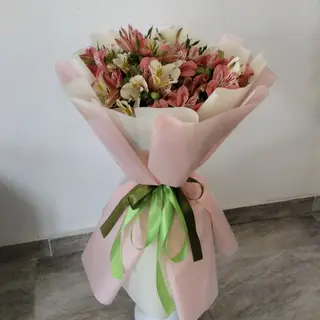 Альструмерія 15 шт (мікс)