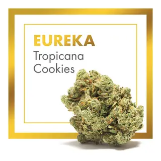 Eureka (Tropicana Cookies) 5Gr. 26% CBD