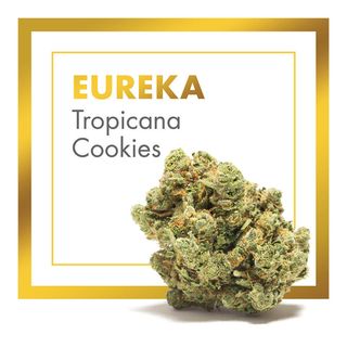 Eureka (Tropicana Cookies) 10Gr. 26% CBD