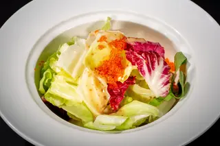 315 Insalata gari