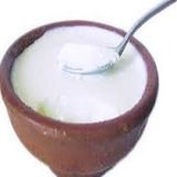 Plain Dahi