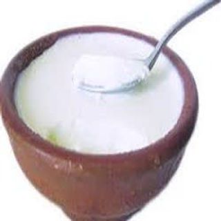 Plain Dahi