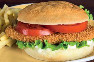 Chicken Burger GLUTEN FREE