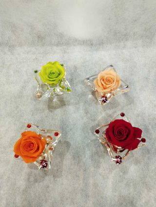 rosa stabilizzata in fiore di cristallo e coccinella