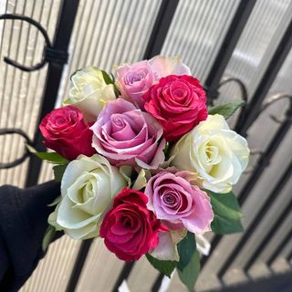 Яскравий мікс із 9 троянд