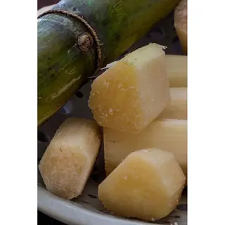 Sugar cane