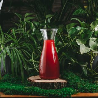 Морс клюквенный (1 л.)