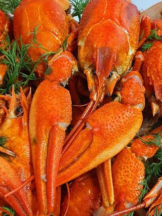 Խեցգետին խոշոր 