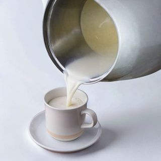 Plain hot milk