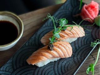 NIGIRI OPIEKANY ŁOSOŚ SKANDYNAWSKI