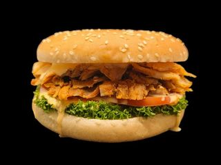Kebab Chicken Burger (250g)