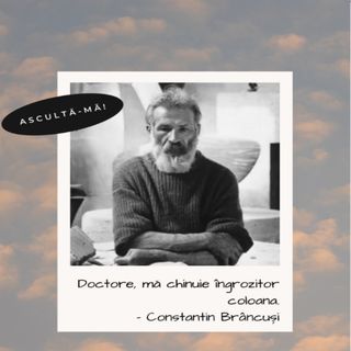 Vedere funny Constantin Brancusi