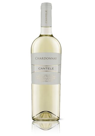 Chardonnay cantele 