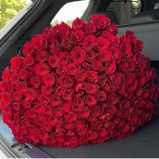 70 Rose rouge vip  tamo Flowers 