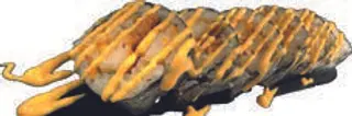 Futomaki  spicy chicken -  6 pezzi