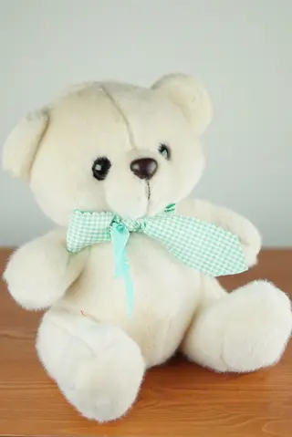 TEDDY BEAR 