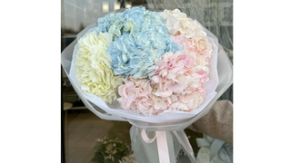 Mix hortensji - 3 szt