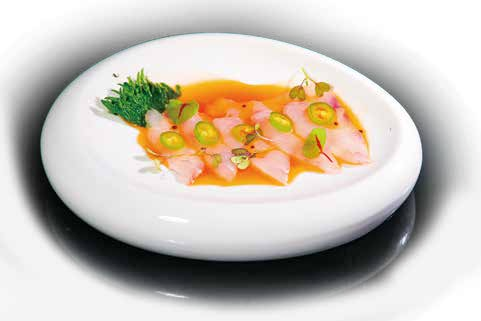 15 Ricciola japaleno